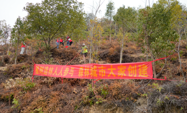 翁源县2025年“深入推进绿美翁源生...