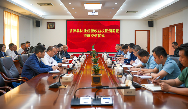 广东省首批林业经营收益权证在翁源颁发