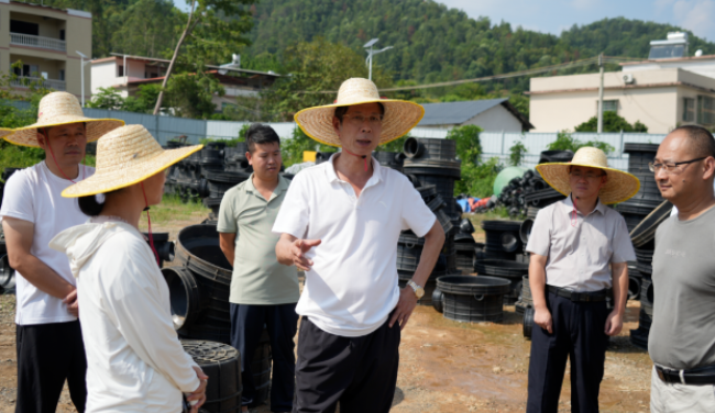 县委书记高忠调研基孔肯雅热防控工作