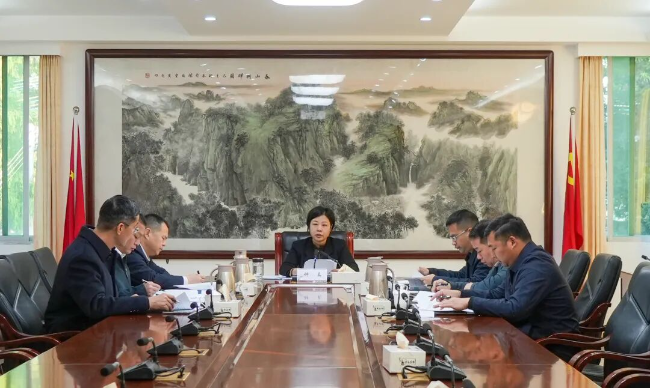 县政府党组领导班子召开2025年度民...