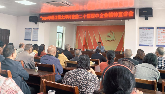 新江镇太坪村开展学习贯彻党的二十届四中全会精神主题宣讲活动.png